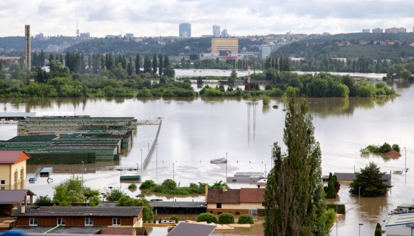 How Heatwaves and Floods Raise Food‑Borne Disease Risk
